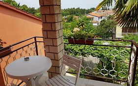 Apartman Maslina