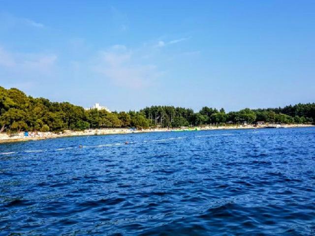 Apartman Maslina Poreč Exteriör bild